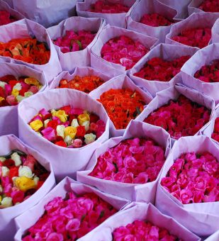 flowers-market